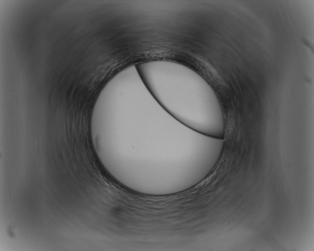 X0000097670025200803281023