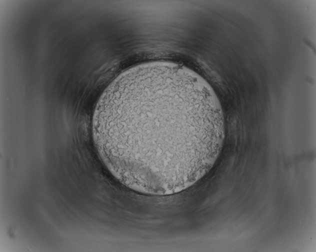 X0000097670026200803281023