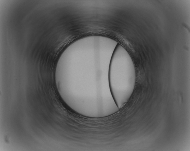X0000097670027200803281023