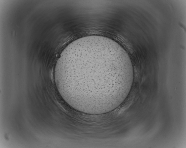 X0000097670028200803281023