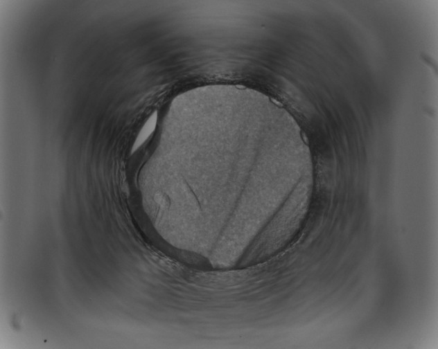 X0000097670029200803281023