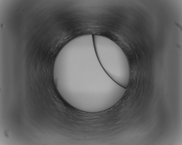 X0000097670031200803281023