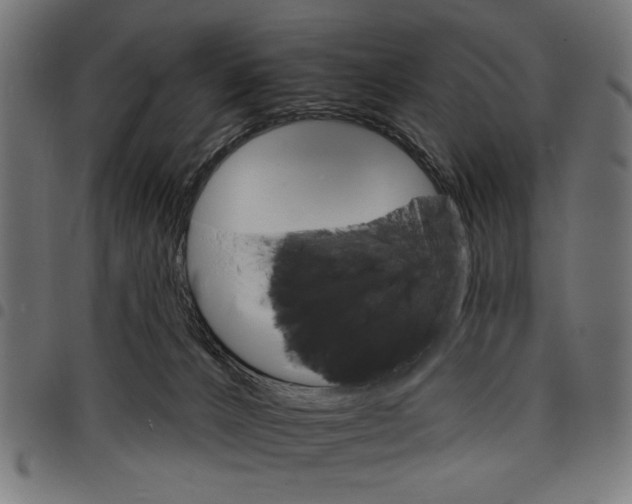 X0000097670032200803281023