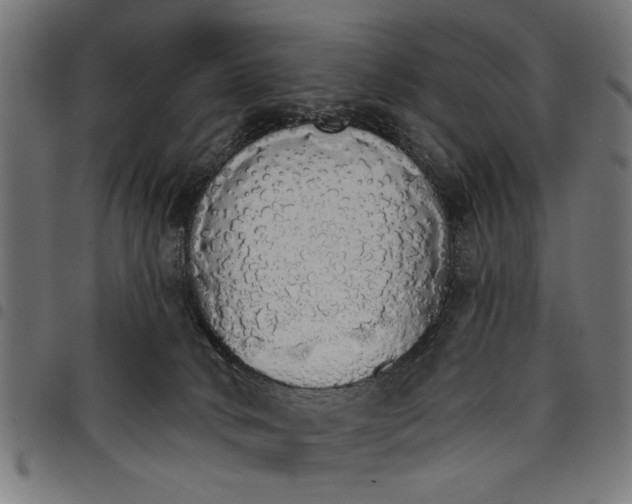 X0000097670034200803281023