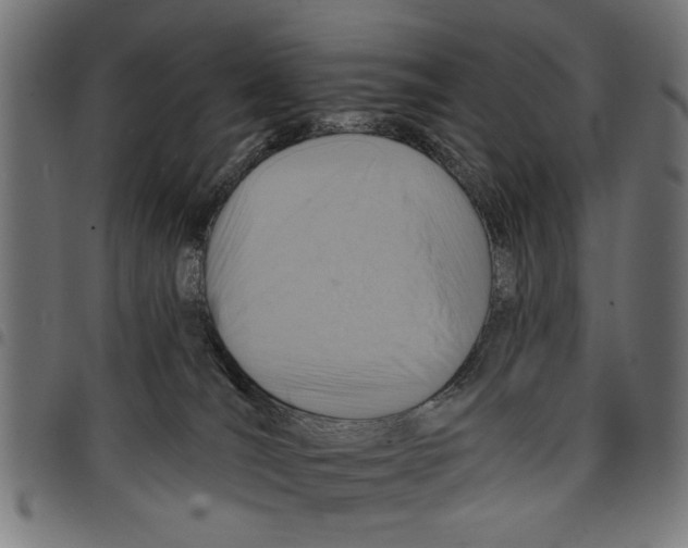X0000097670036200803281023