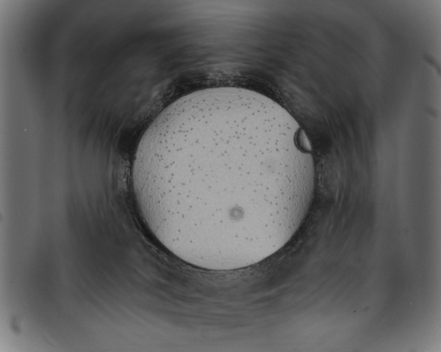 X0000097670038200803281022