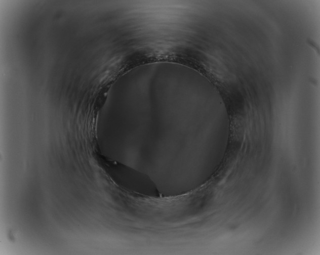 X0000097670039200803281022