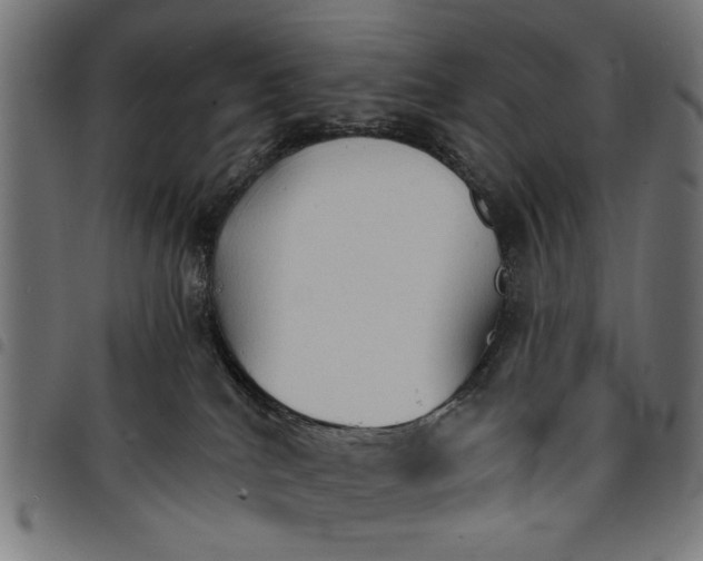 X0000097670040200803281022