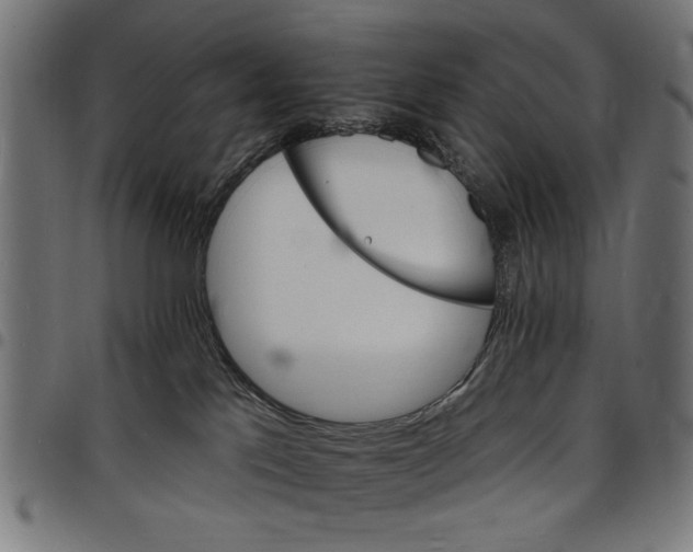 X0000097670041200803281022