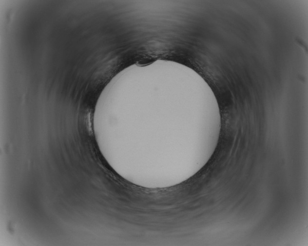X0000097670042200803281022