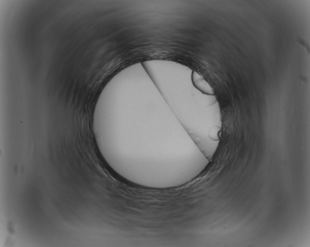 X0000097670044200803281022