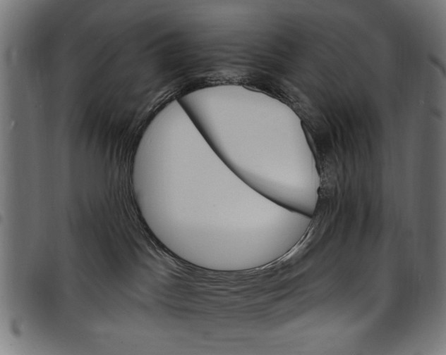 X0000097670045200803281022