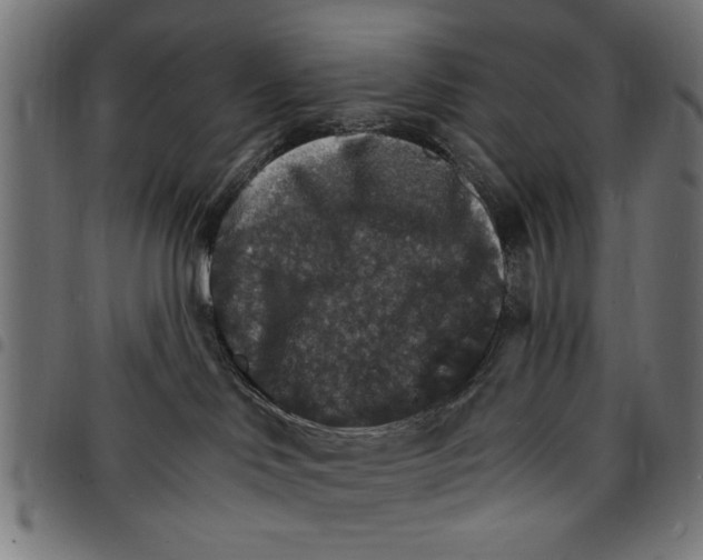 X0000097670046200803281022