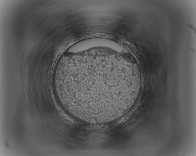X0000097670049200803281022