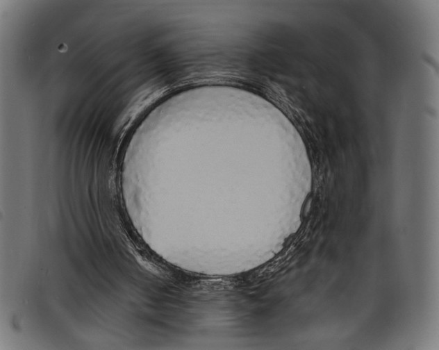 X0000097670050200803281022