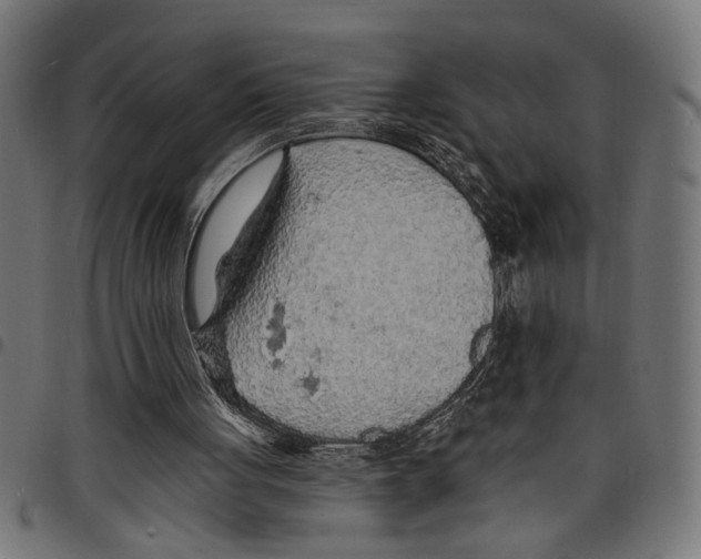 X0000097670051200803281022