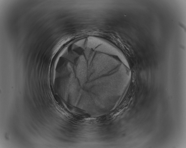X0000097670052200803281022