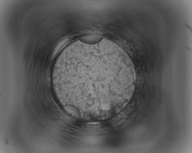 X0000097670053200803281022