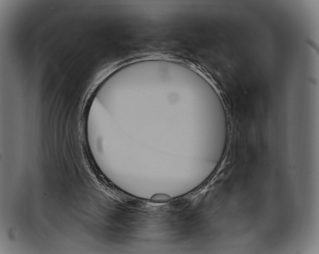 X0000097670055200803281022