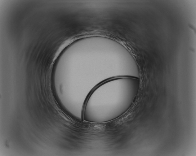X0000097670056200803281022