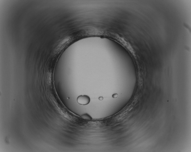 X0000097670057200803281022