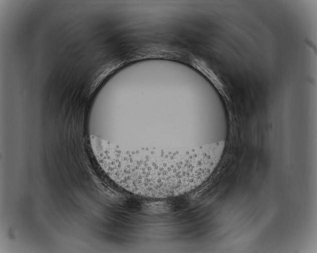 X0000097670058200803281022
