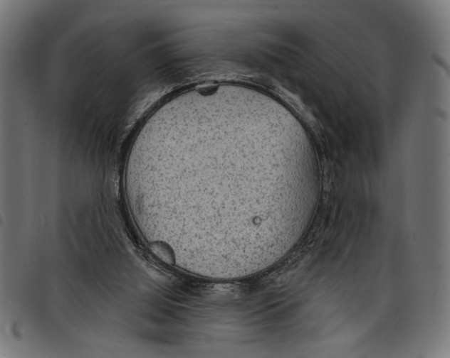 X0000097670060200803281022