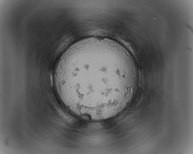 X0000097670061200803281022