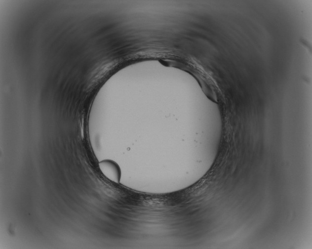 X0000097670062200803281022