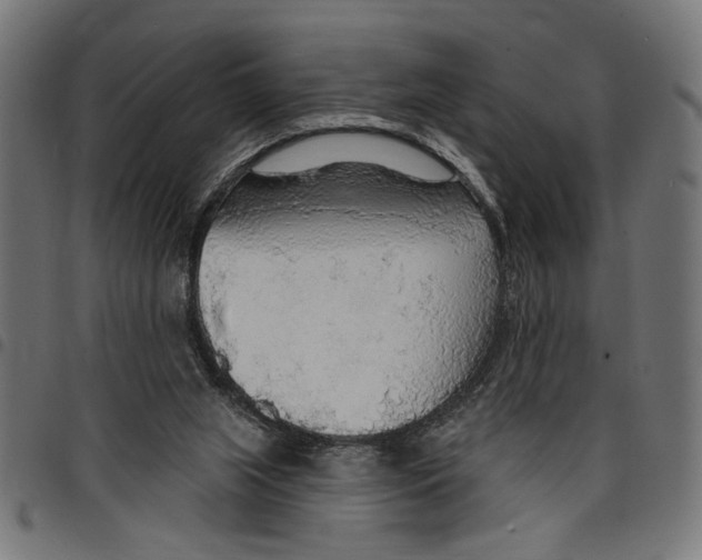 X0000097670063200803281022