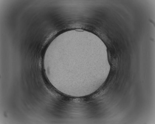 X0000097670064200803281022