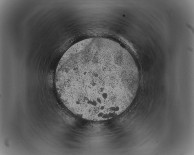 X0000097670065200803281022