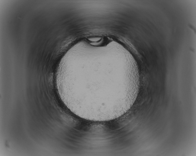 X0000097670066200803281022