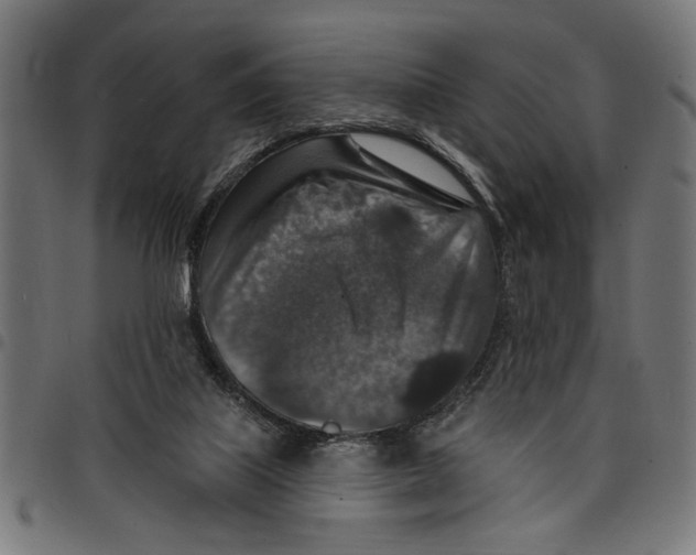 X0000097670067200803281022