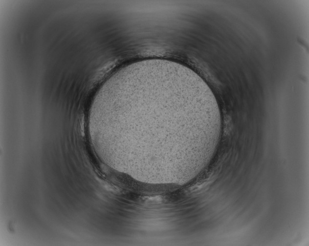 X0000097670068200803281022