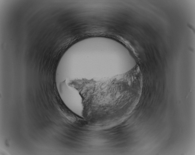 X0000097670069200803281022