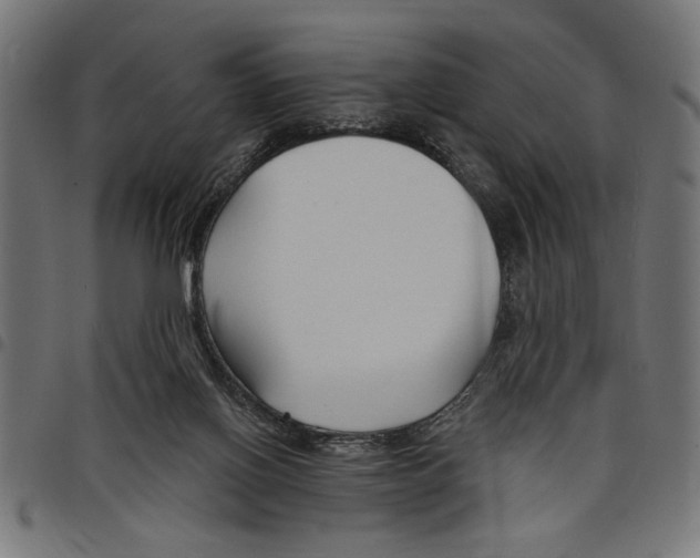 X0000097670070200803281022