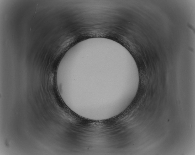 X0000097670071200803281022