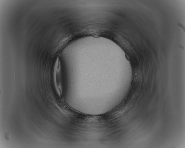 X0000097670072200803281022