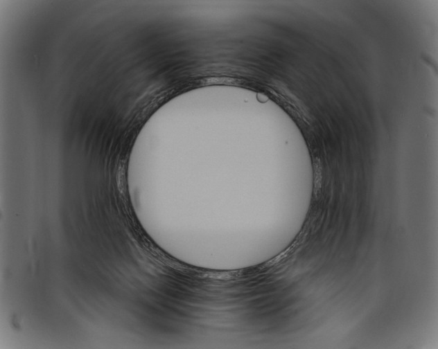 X0000097670074200803281022