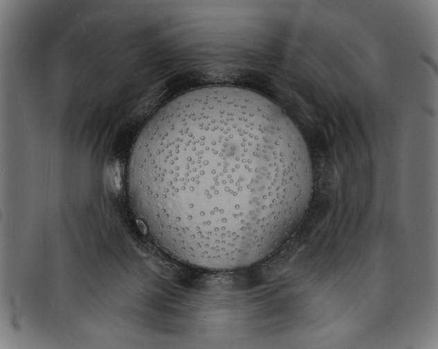 X0000097670075200803281022