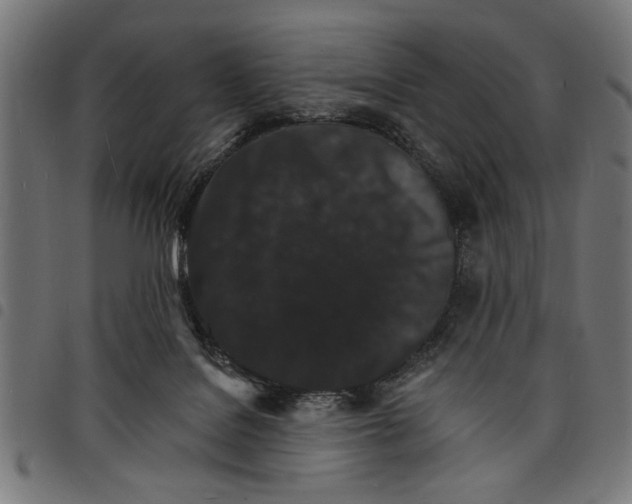 X0000097670076200803281022