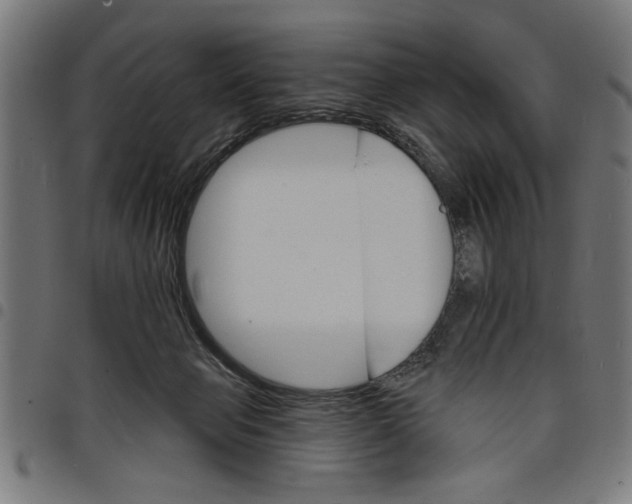 X0000097670077200803281022