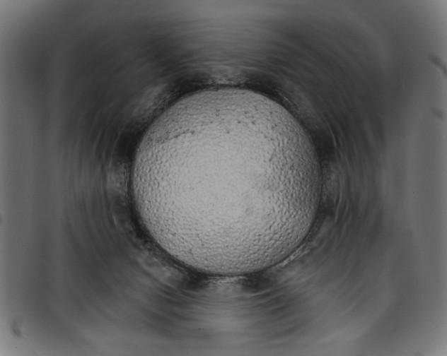 X0000097670078200803281022
