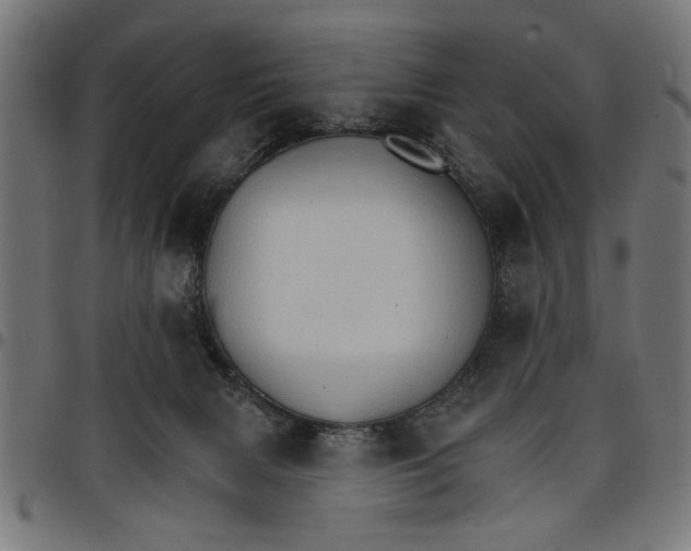 X0000097670079200803281022