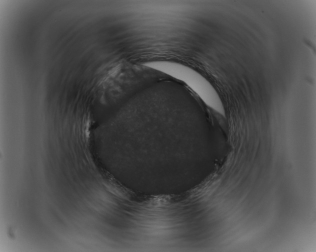 X0000097670080200803281022