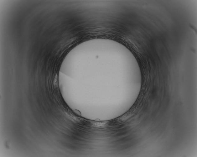 X0000097670081200803281022