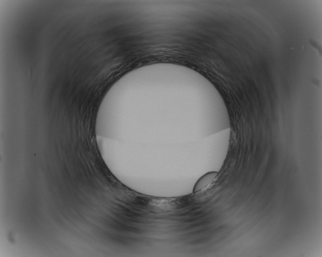 X0000097670082200803281022