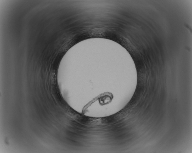 X0000097670083200803281022