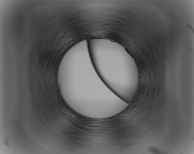 X0000097670084200803281022